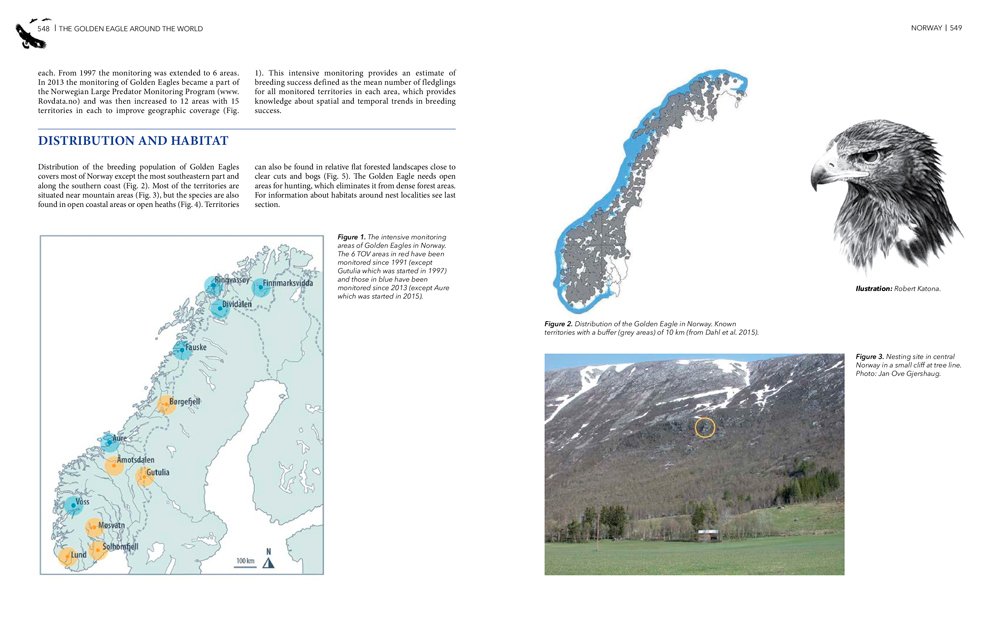 the golden eagle around the world: a monograph on a holarctic raptor