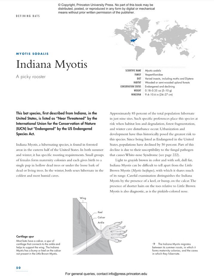the lives of bats. a natural history
