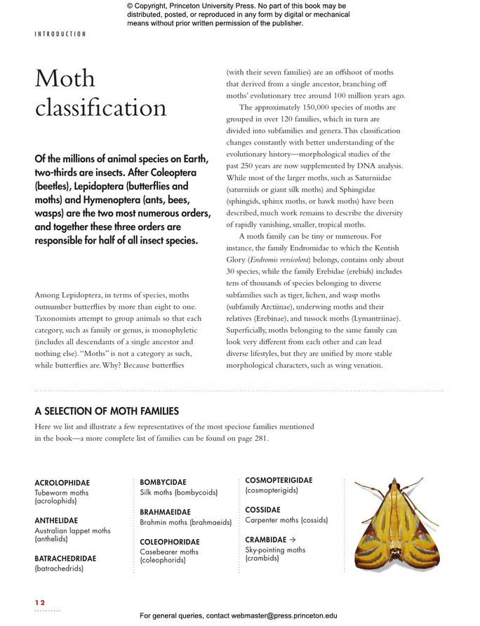 the lives of moths. a natural history of our planet's moth life