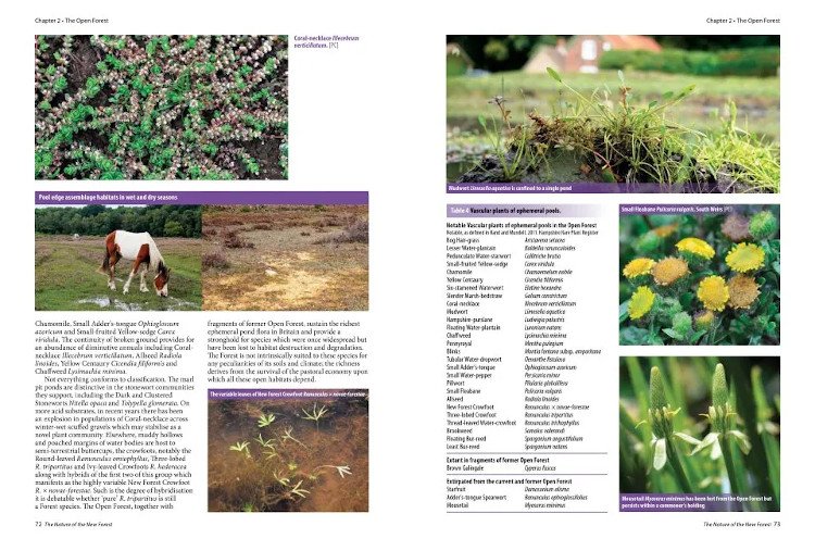 the nature of the new forest. celebrating the wildlife of a working common