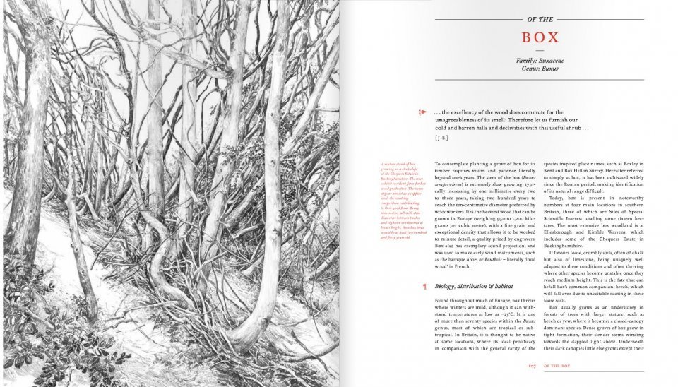 the new sylva. a discourse of forest and orchard trees for the twenty-first century