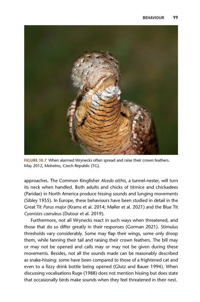 the wryneck biology, conservation and symbolism of jynx torquilla