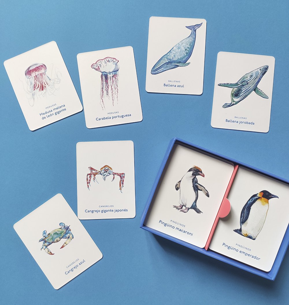 un mar de animales. juego de memoria