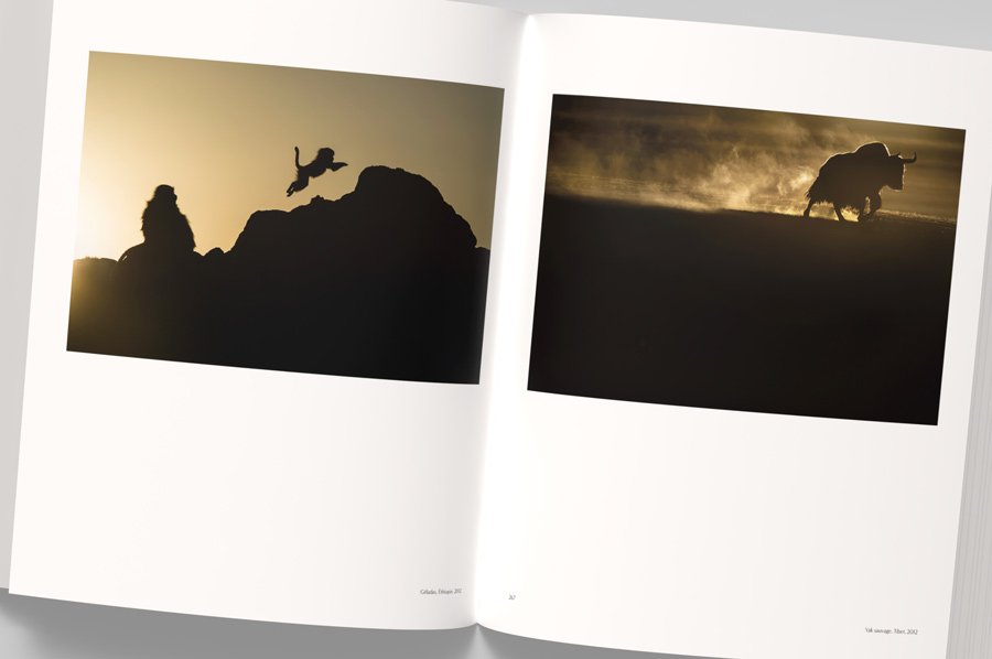 vincent munier, the monograph