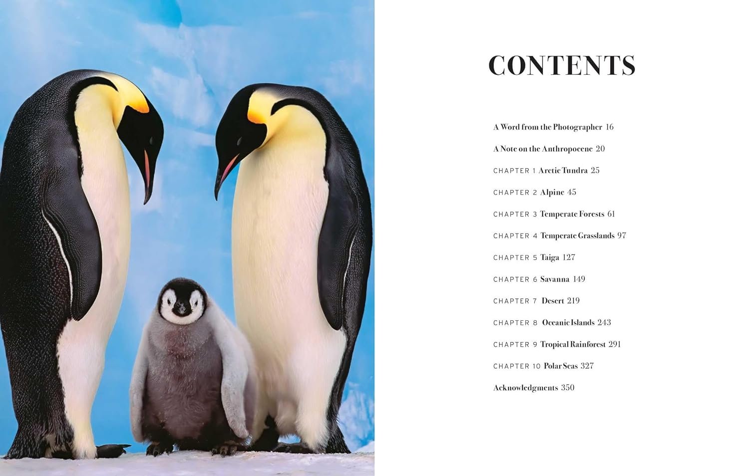 wild lives. the world's most extraordinary wildlife
