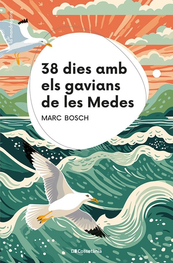 38 dies amb els gavians de les medes