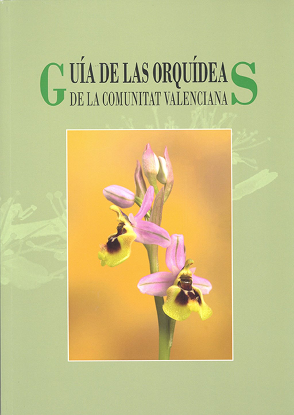 gua de las orqudeas de la comunitat valenciana