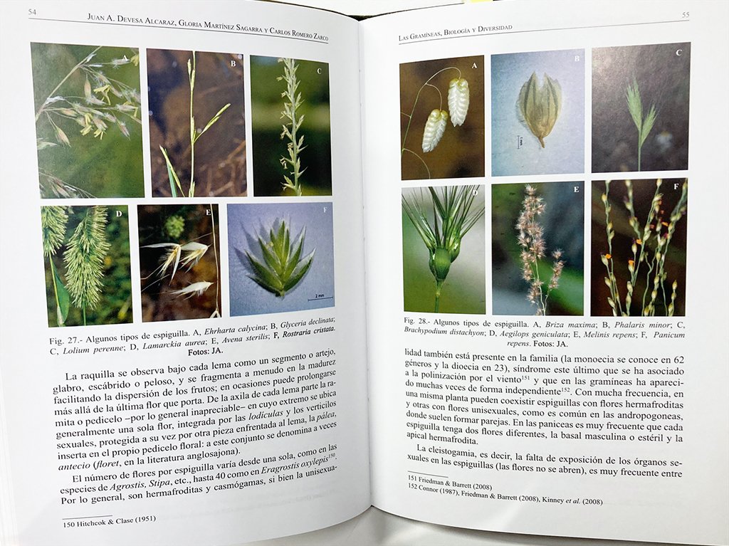 las gramineas. biologa y diversidad