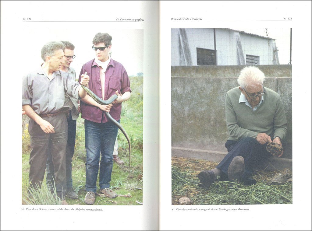 redescubriendo a valverde. documentos inditos del fundador de doana