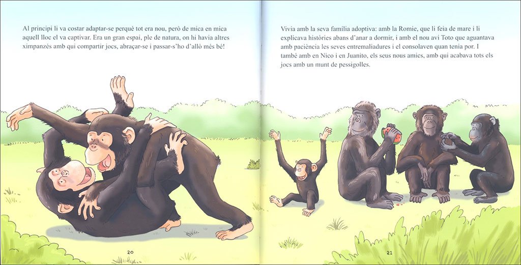 bongo. petita histria d'un ximpanz
