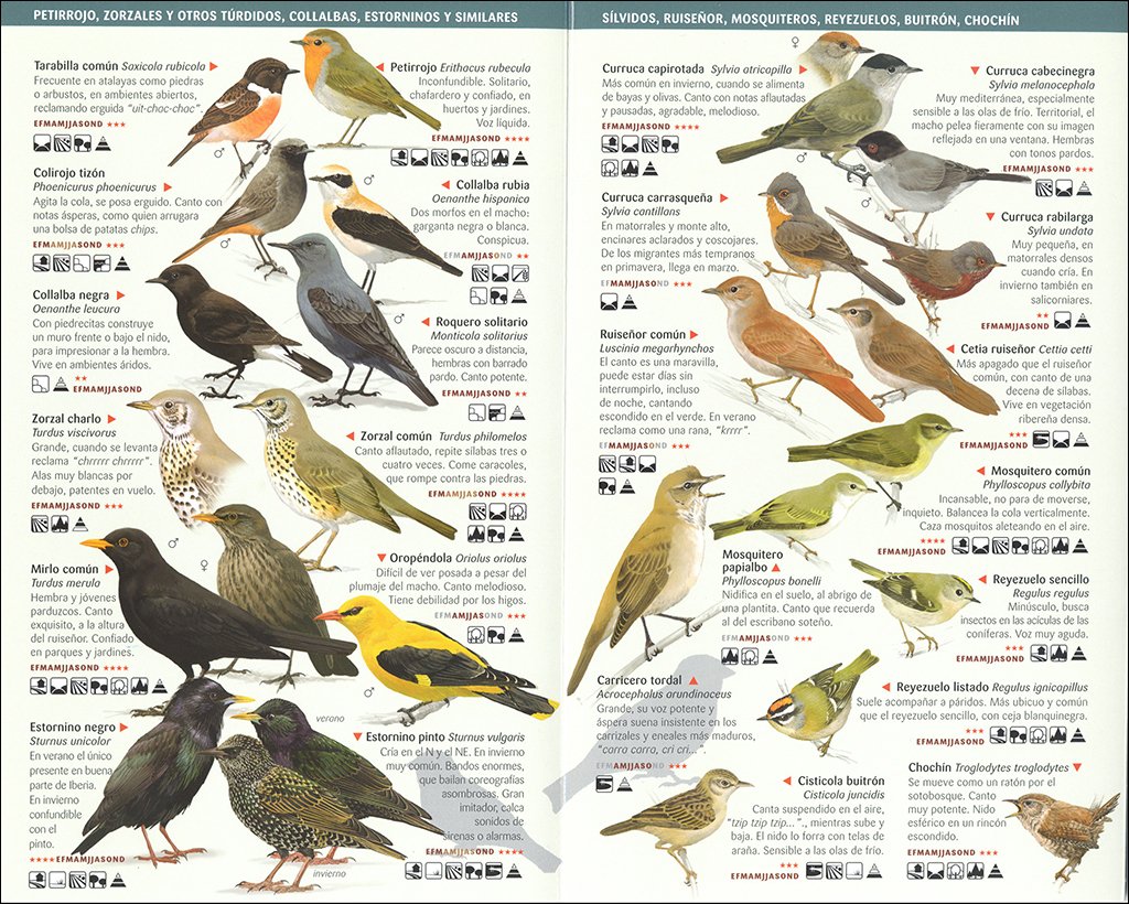 150 aves de espaa que hay que conocer. minigua de campo