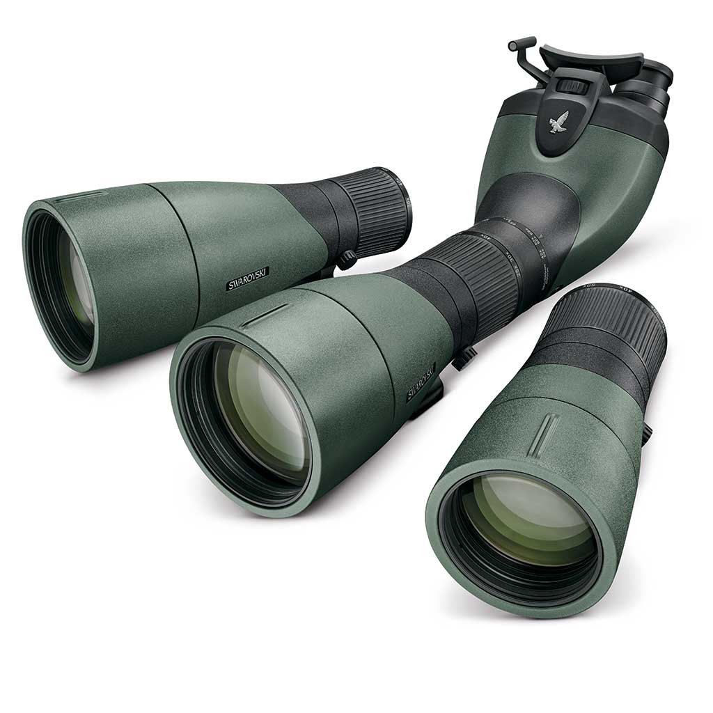 swarovski telescopio btx mdulo binocular angular