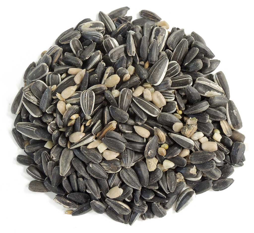 grana-a bolsa de mezcla de semillas con pipa con cscara. alimento para aves silvestres 3 kg