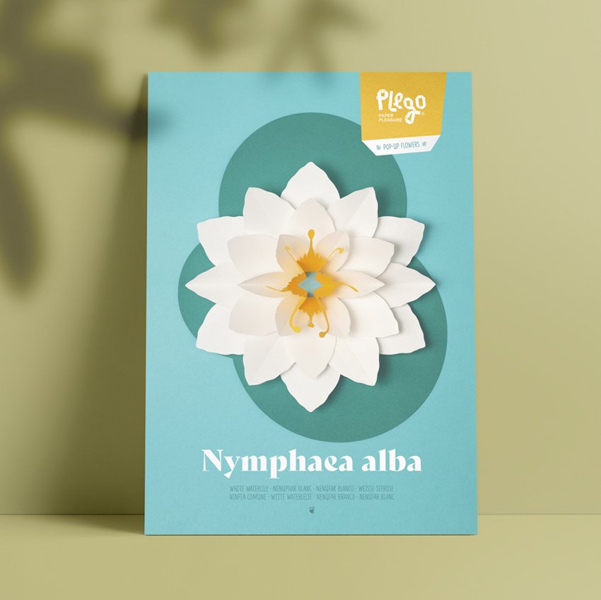 plego pop up nymphaea alba (nenfar))