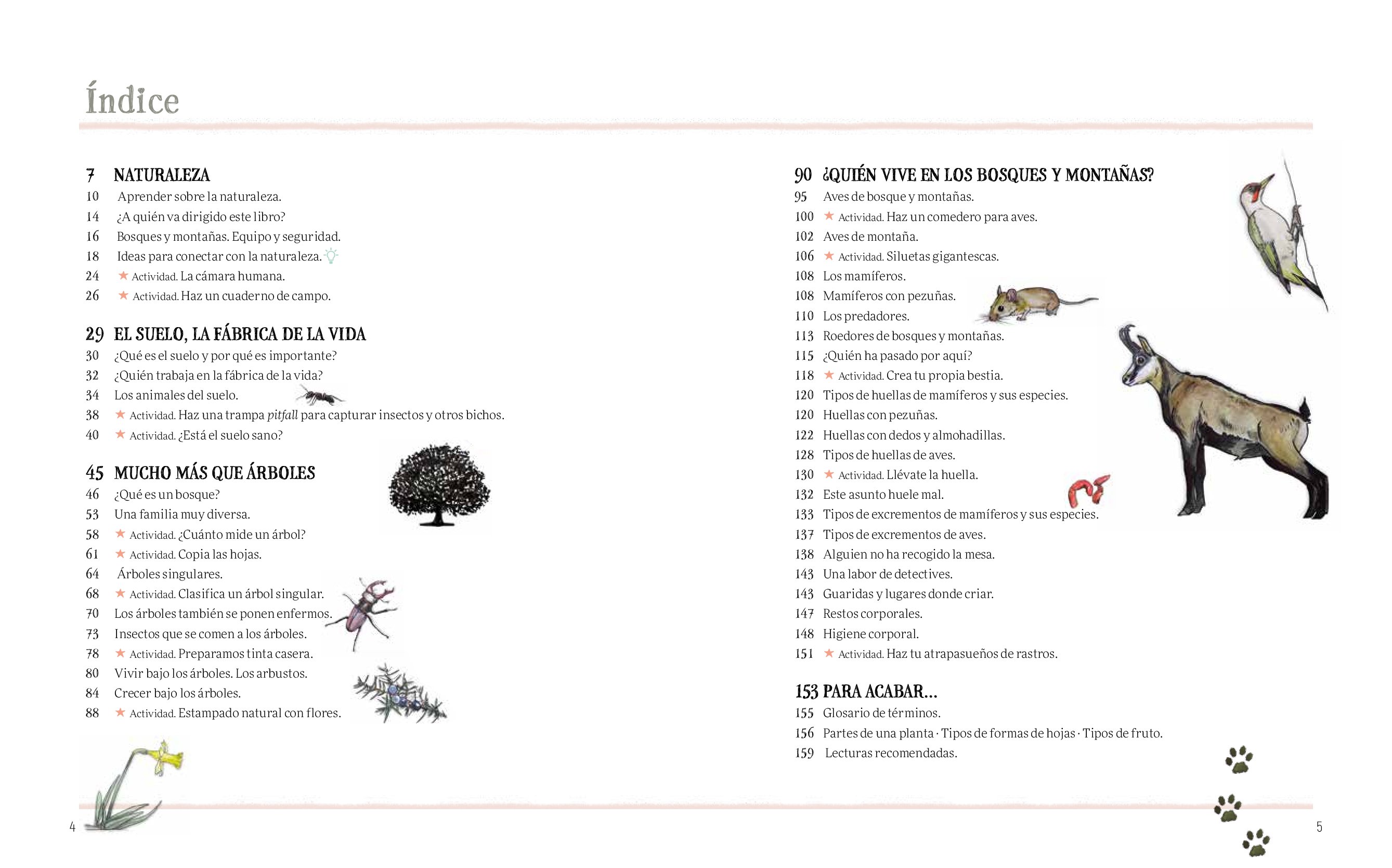cuaderno de campo para jvenes naturalistas. secretos del bosque.