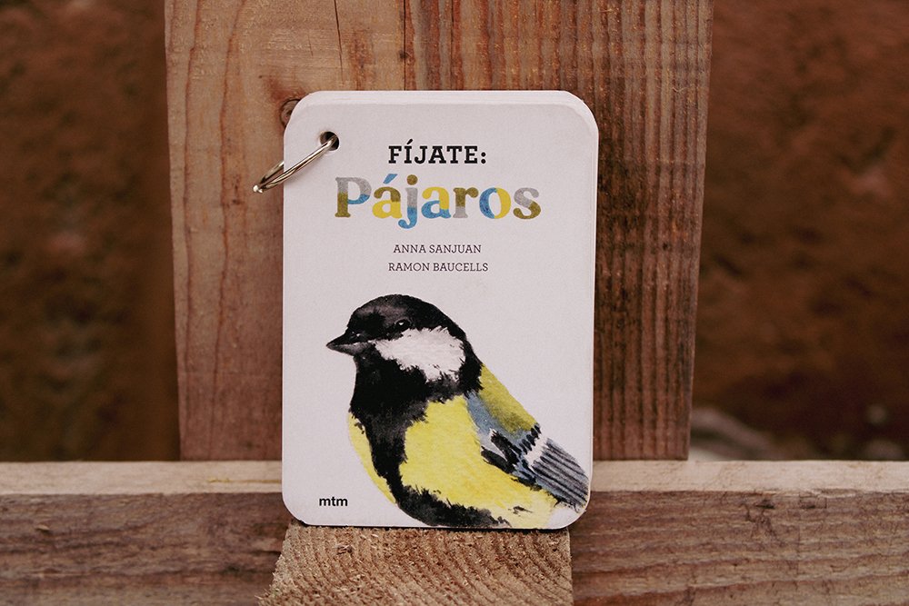 fjate pjaros