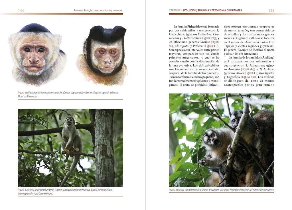 primates. biologa, comportamiento y evolucin