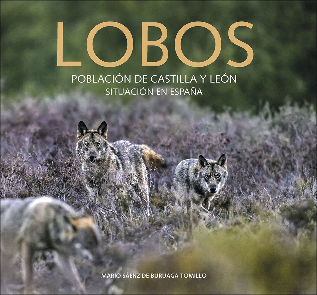 lobos. poblacin de castilla y len. situacin en espaa