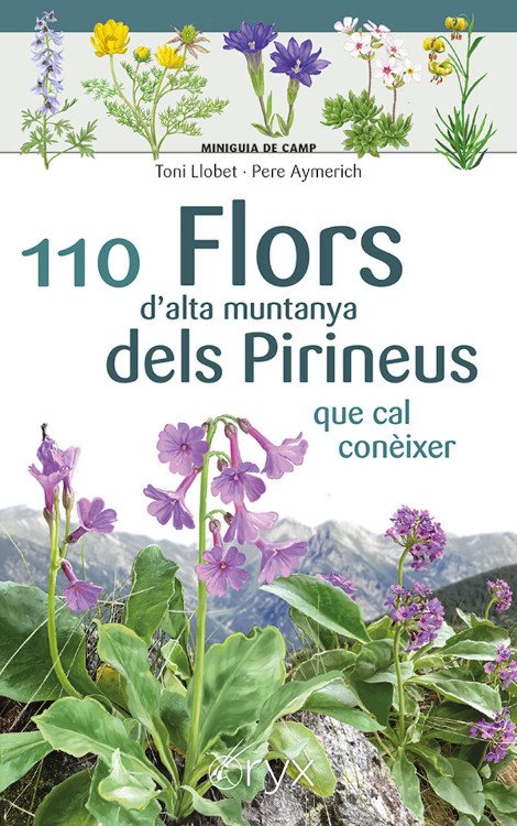 110 flors d'alta muntanya dels pirineus que cal conixer. miniguia de camp