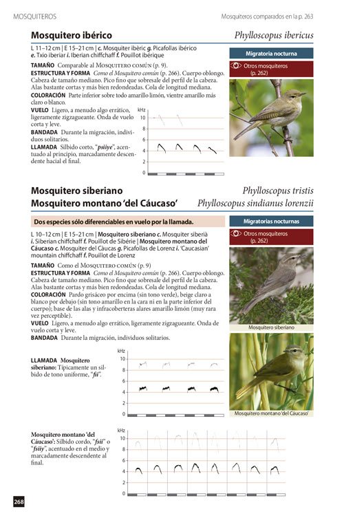 identificacin en vuelo de los paseriformes europeos y otras aves terrestres. una gua ilustrada y fotogrfica