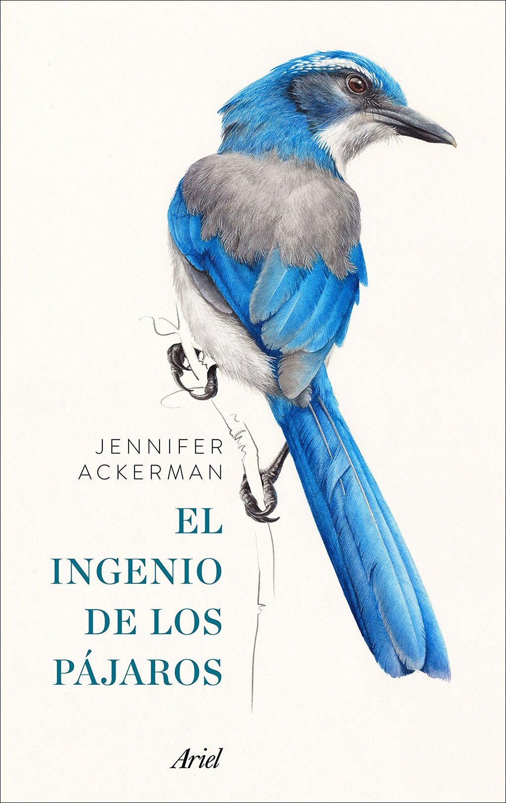 pack el ingenio de los pjaros