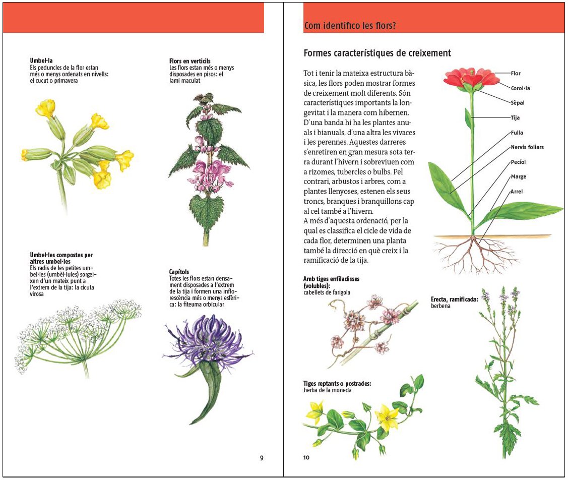 flors. 450 espcies d'europa