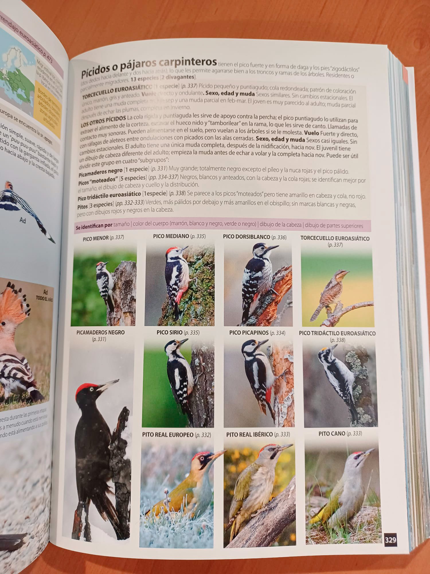 aves de espaa y de europa. una gua de identificacin