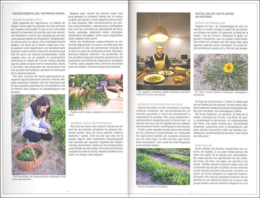 herbari mengvol. guia per a l's gastronmic de la flora silvestre