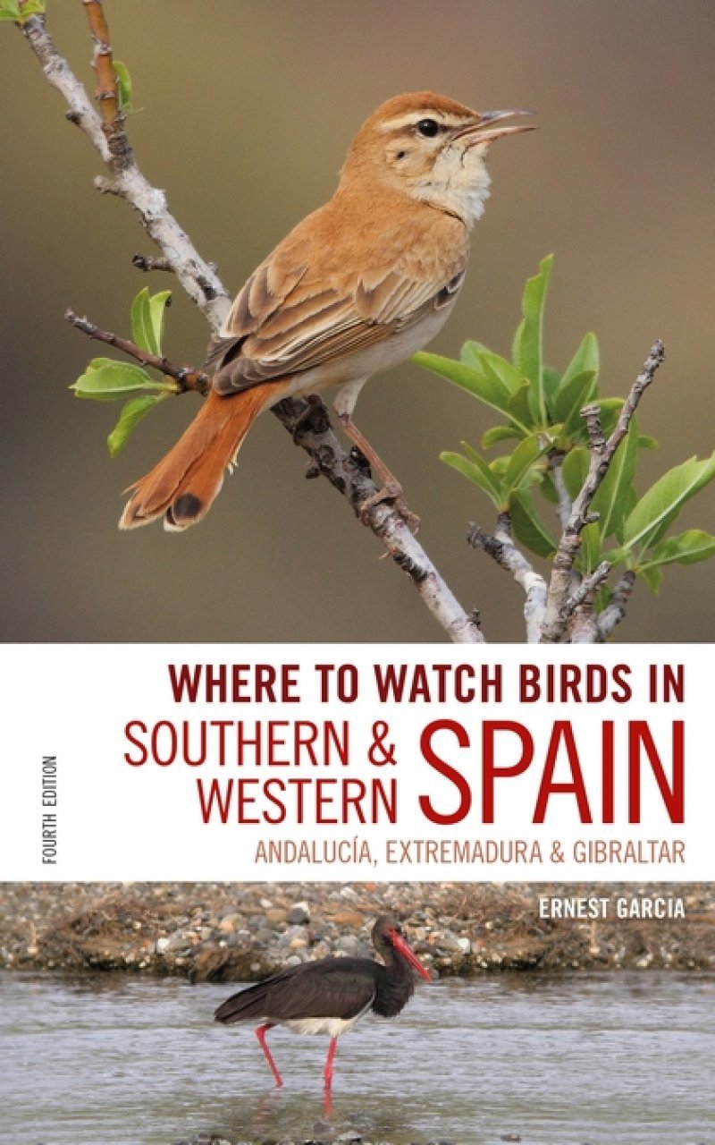 where to watch birds in southern & western spain. andaluca, extremadura & gibraltar