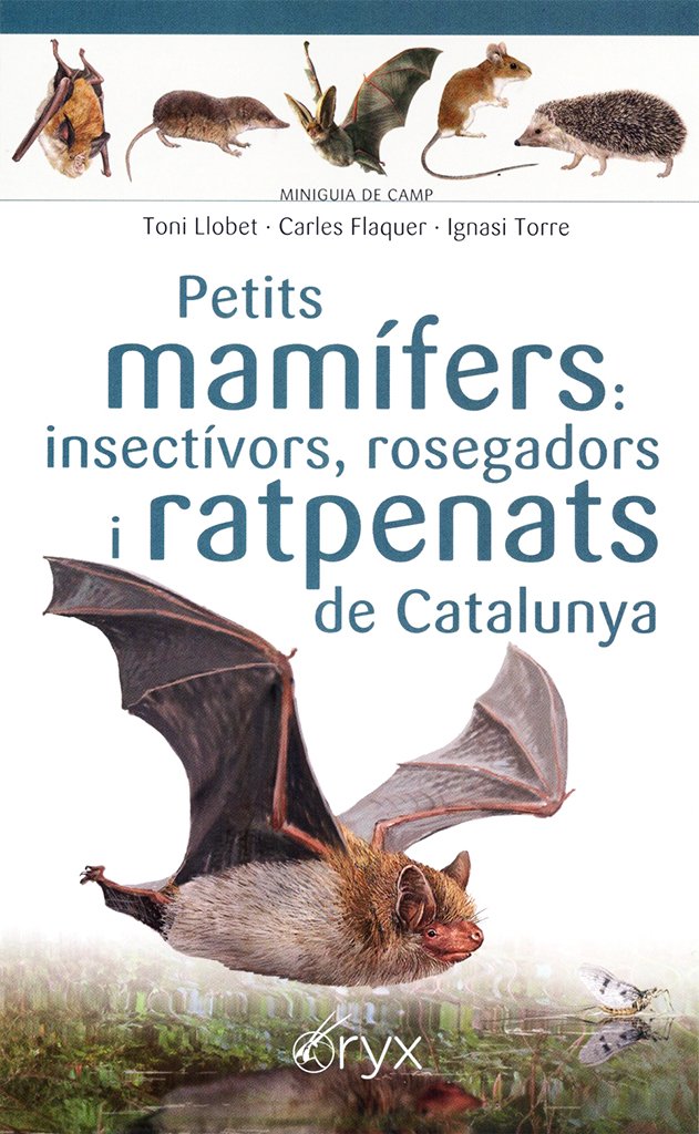 petits mamfers: insectvors, rosegadors i ratpenats de catalunya. miniguia de camp