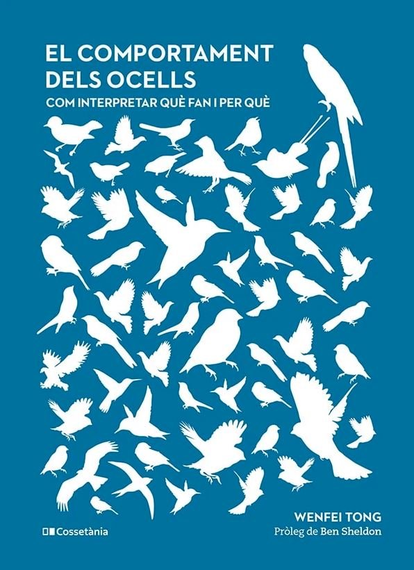 el comportament dels ocells. com interpretar qu fan i per qu