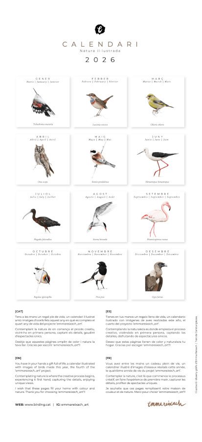 calendari d'ocells natura illustrada