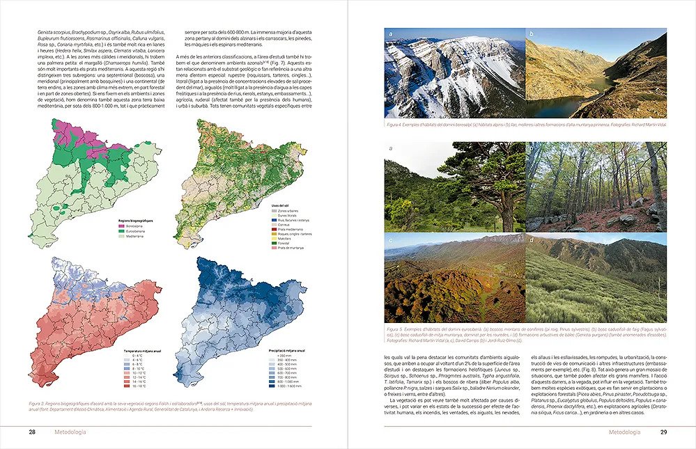 grans mamfers de catalunya i andorra. distribuci, biologia, ecologia i conservaci
