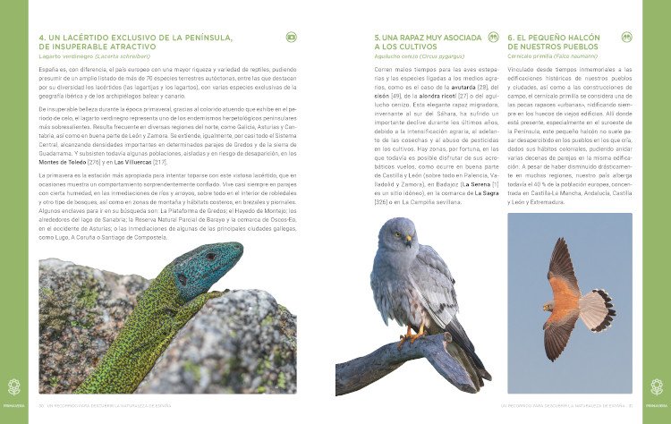 un recorrido para descubrir la naturaleza de espaa. 365 propuestas imprescindibles