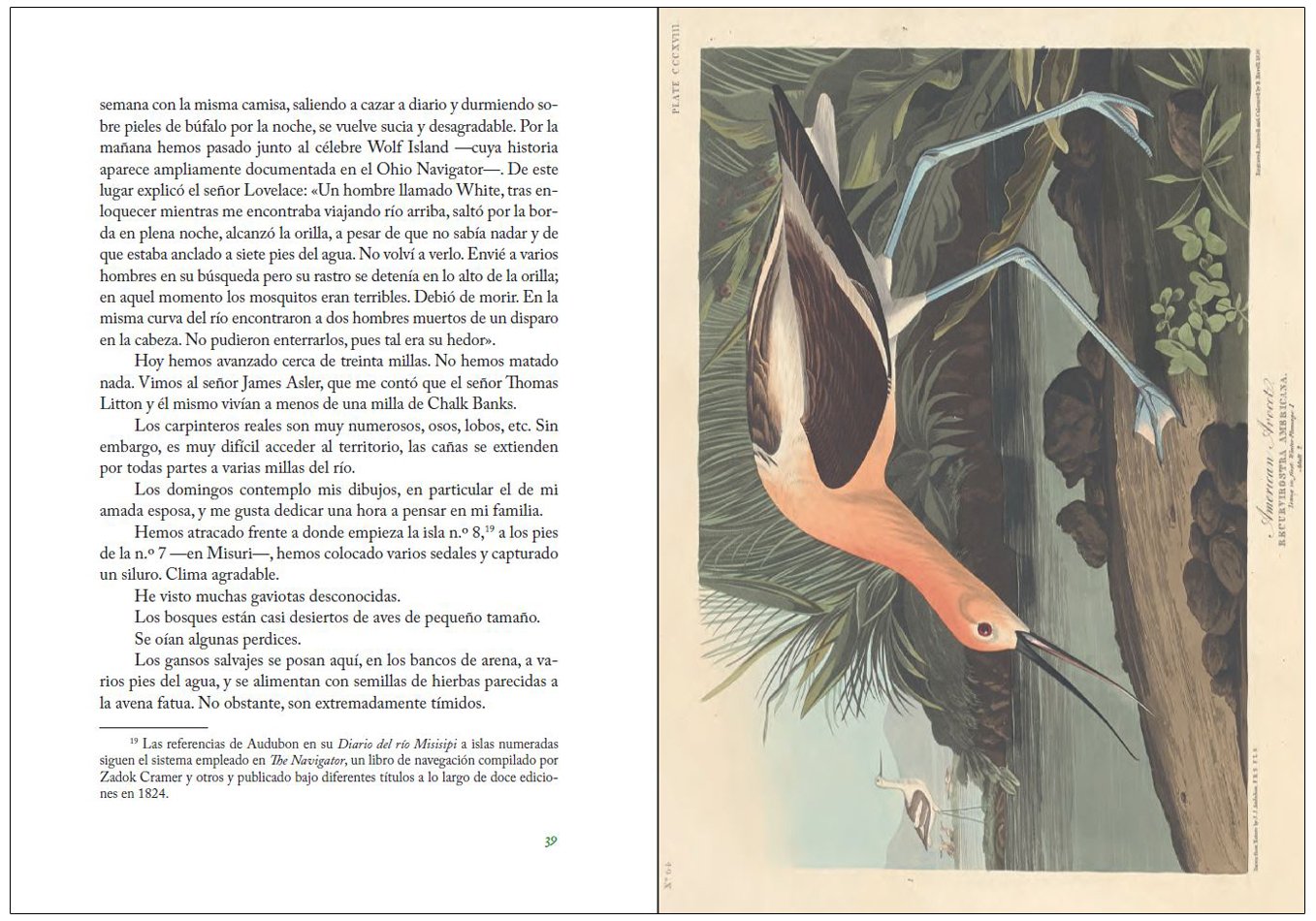 diario del ro misisipi