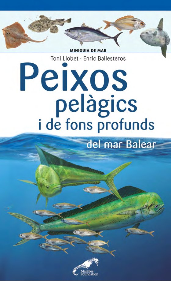 peixos pelgics i de fons profunds del mar balear. miniguia de mar
