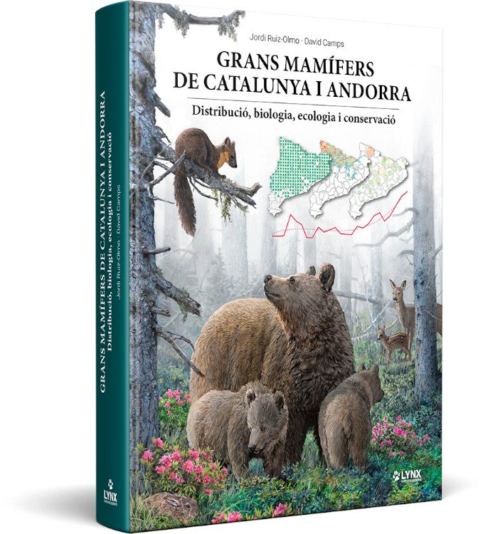 grans mamfers de catalunya i andorra. distribuci, biologia, ecologia i conservaci