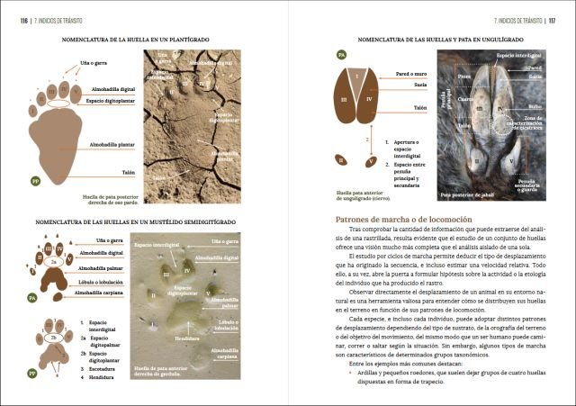 gua visual de huellas y rastros de la fauna de espaa y resto de europa
