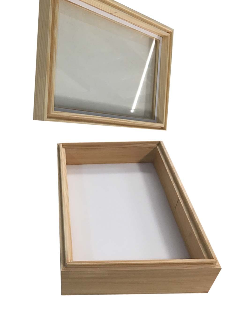 caja entomolgica de madera 15x23x6 cm