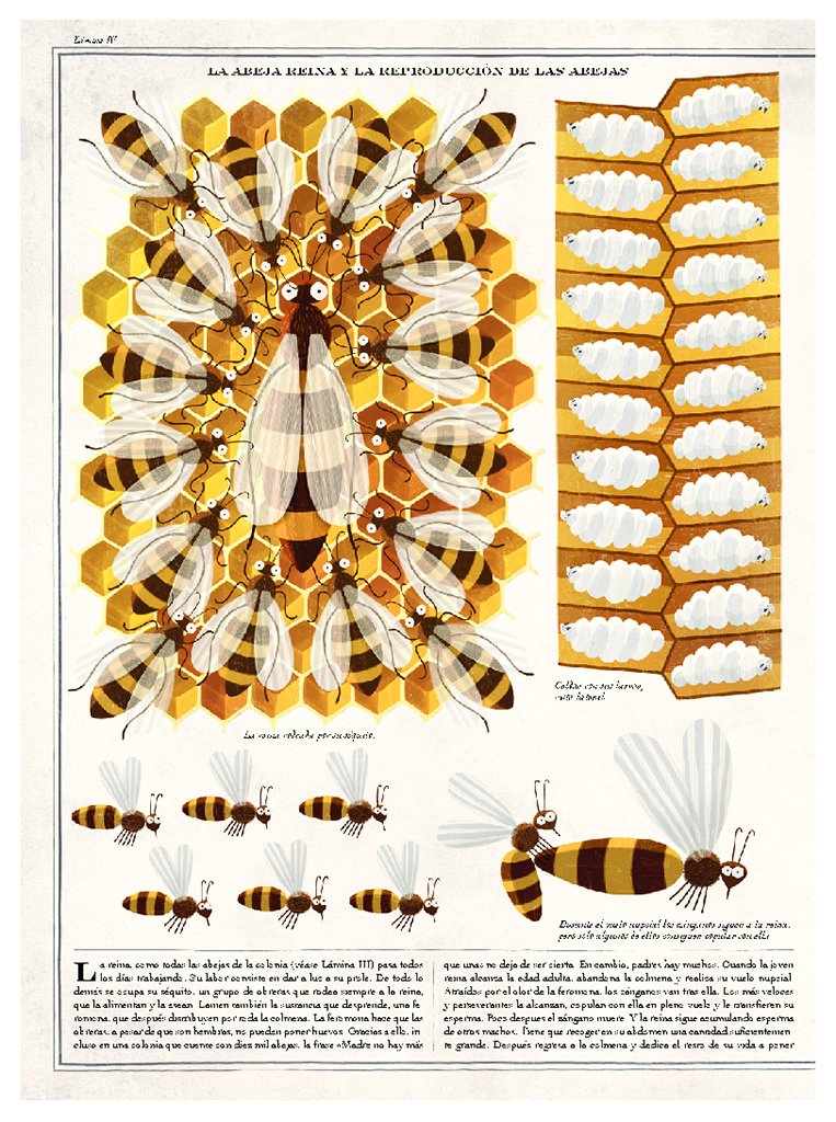 abejas