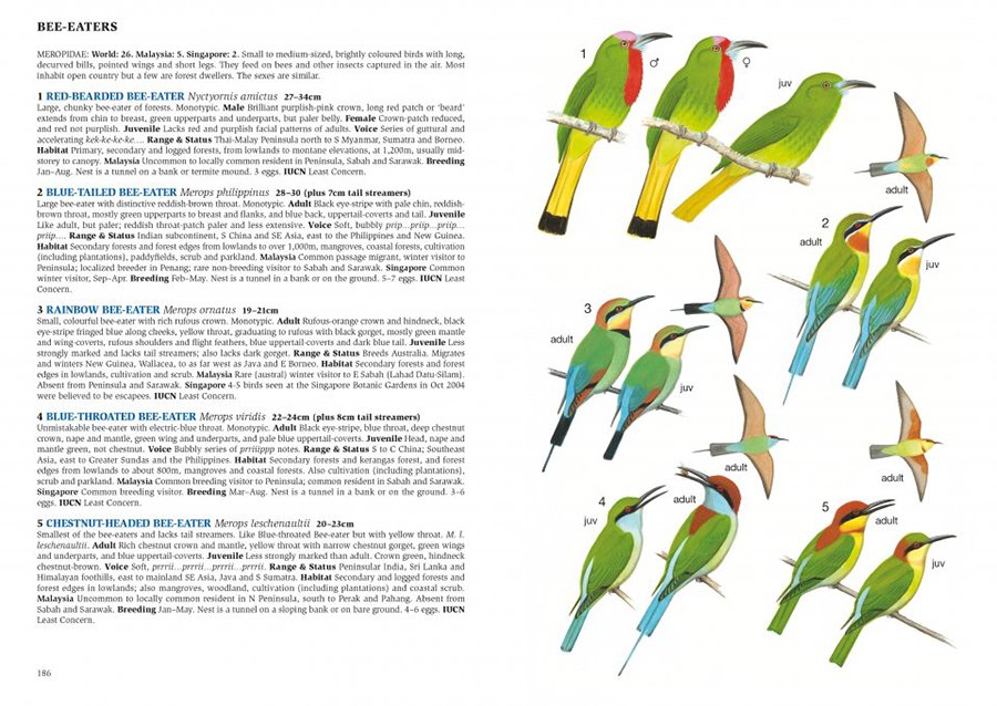 a field guide to the birds of malaysia & singapore