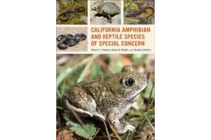 amphibians & reptiles of north america