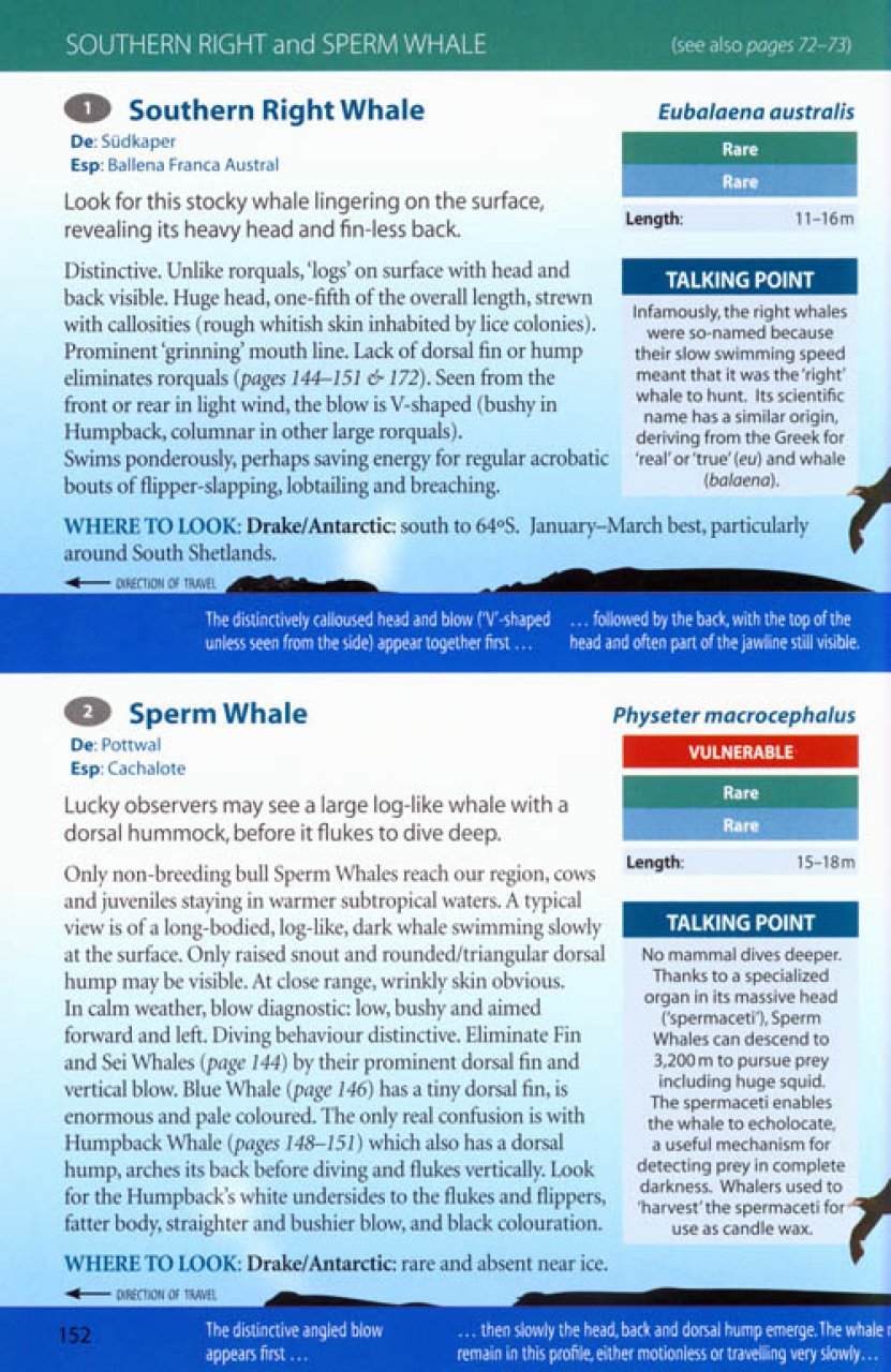 antarctic wildlife. a visitor's guide to the wildlife of the antarctic peninsula, drake passage and beagle channel