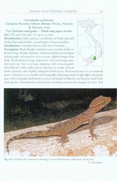a photographic field guide to the amphibians and reptiles of the lowland monsoon forests of southern vietnam