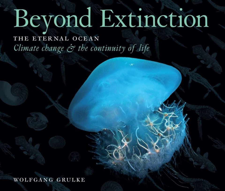 beyond extinction. the eternal ocean