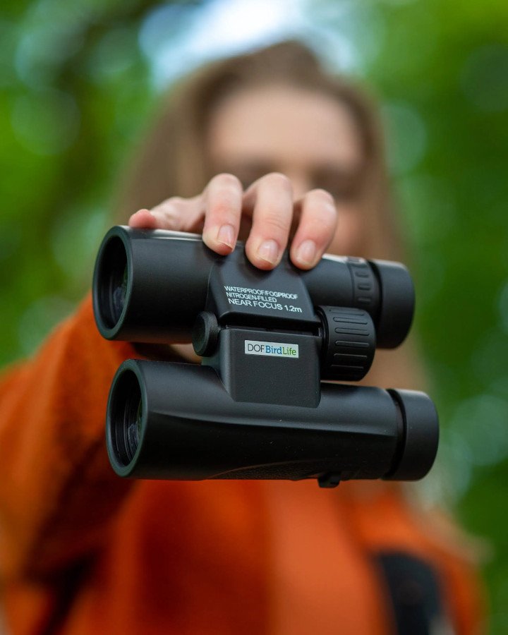 binoculares dof birdlife lapwing 10x42