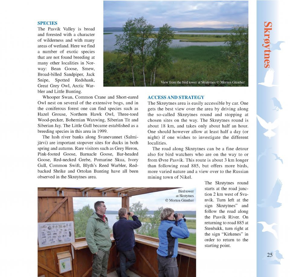 birding across the border