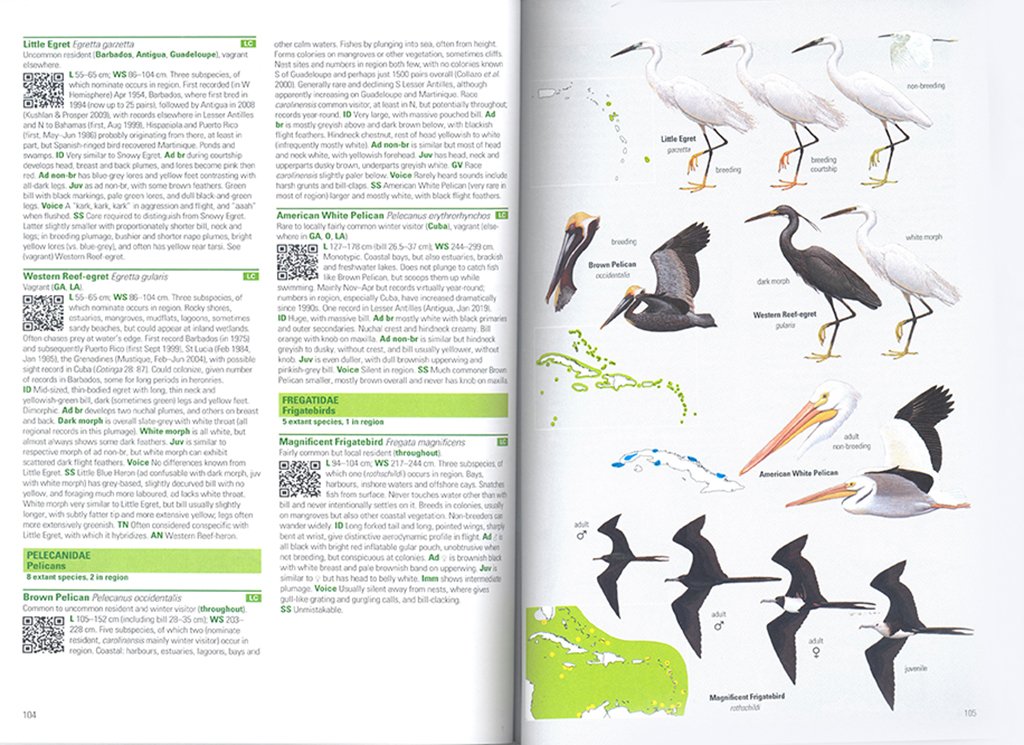 birds of the west indies
