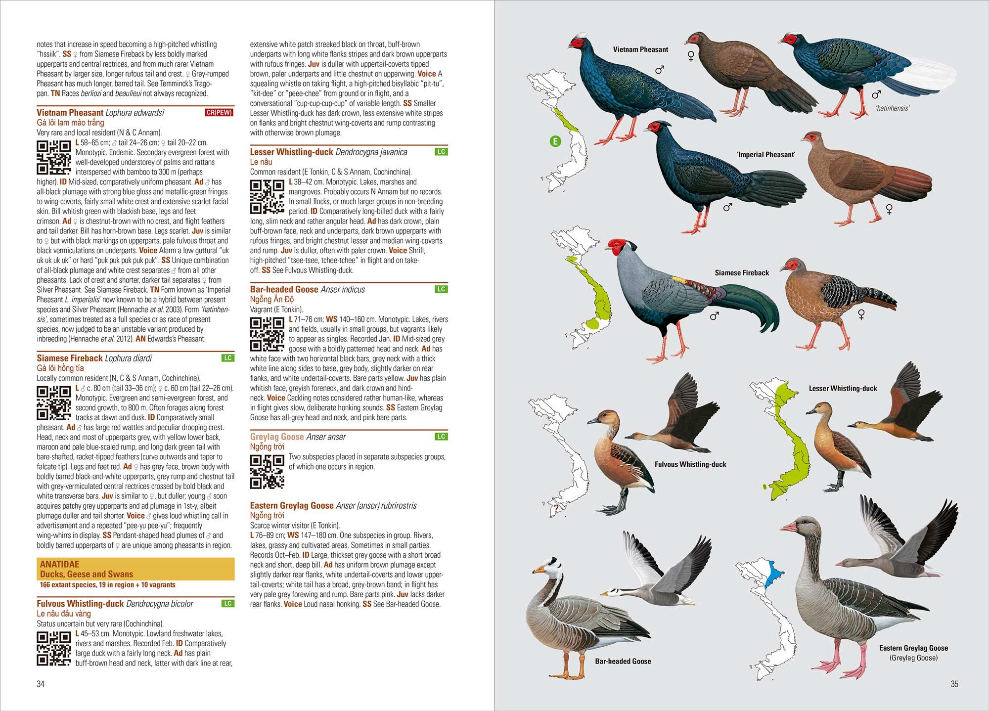 birds of vietnam (flexi cover)
