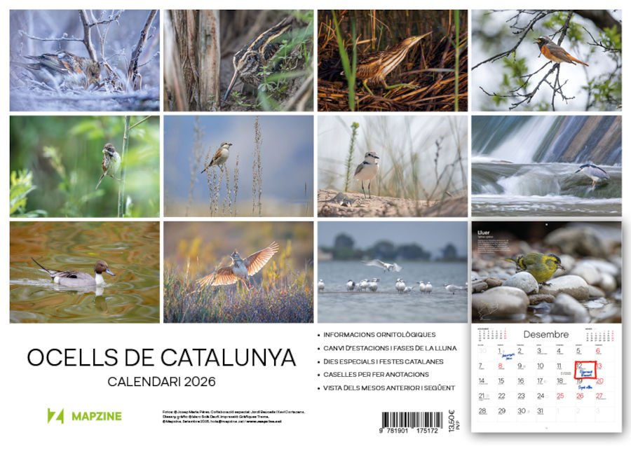 calendari mapzine 2026 ocells de catalunya